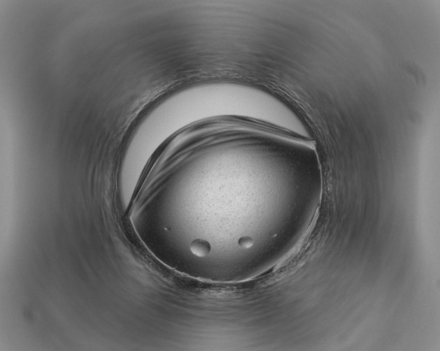 X0000112980164200909101722