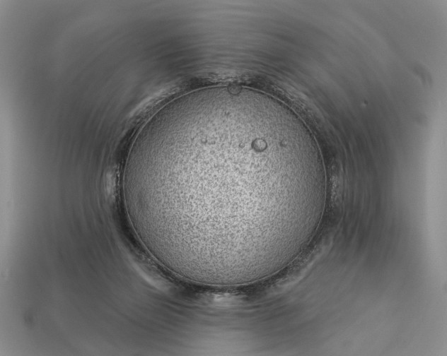 X0000112980165200909101722