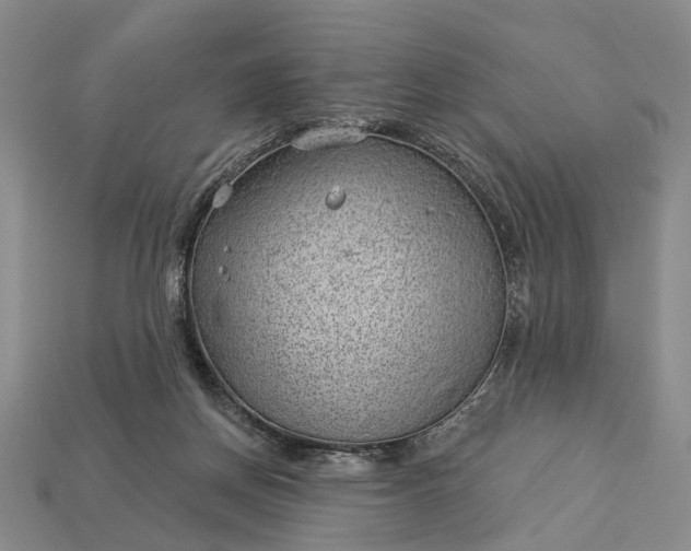 X0000112980166200909101722