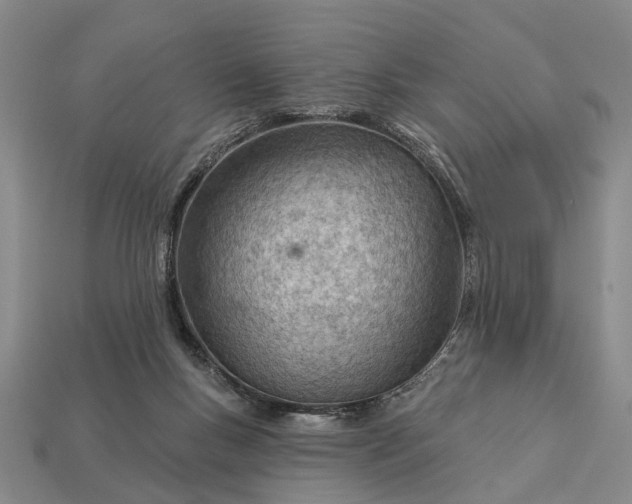 X0000112980167200909101722