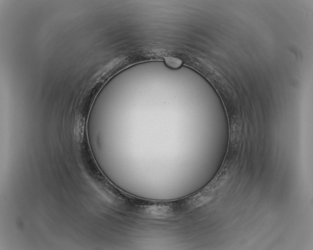 X0000112980168200909101722