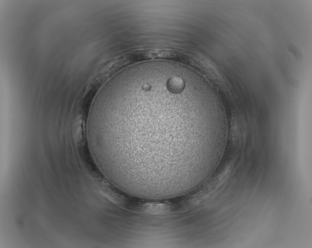 X0000112980169200909101722