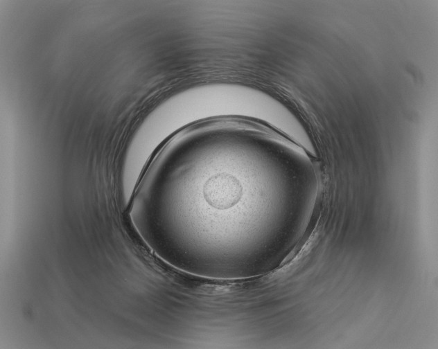 X0000112980170200909101722