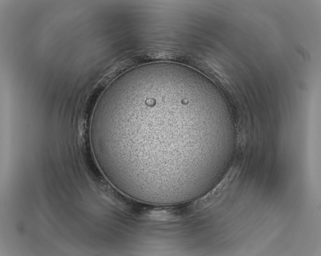 X0000112980171200909101722