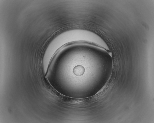 X0000112980172200909101722