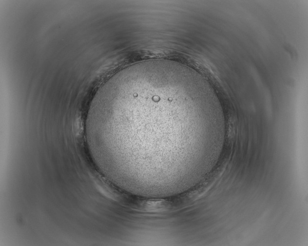 X0000112980173200909101722