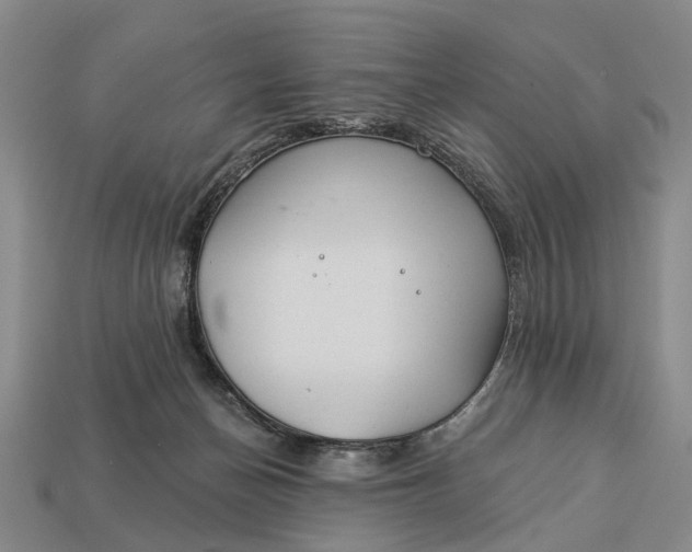 X0000112980174200909101722