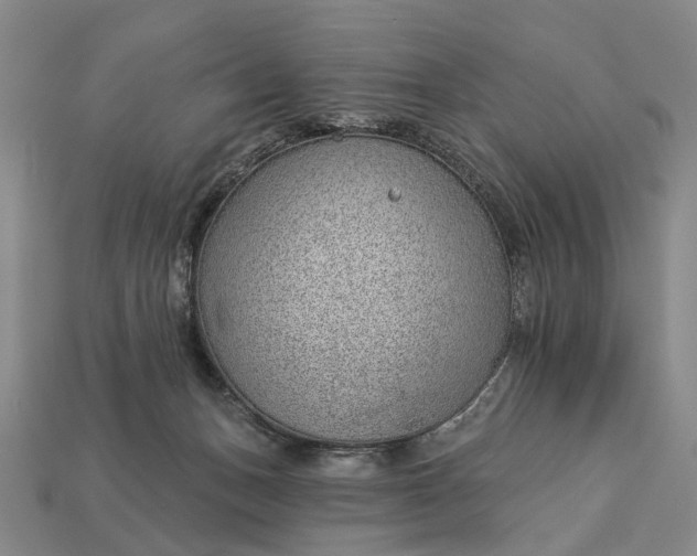 X0000112980175200909101722