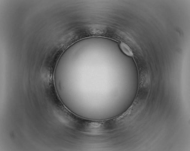 X0000112980176200909101722