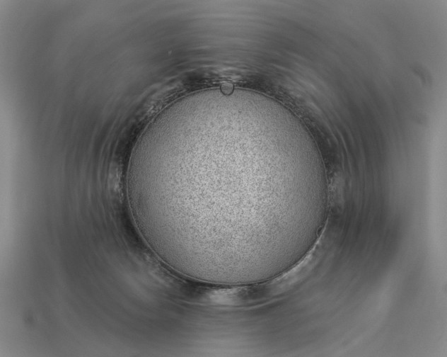 X0000112980178200909101722