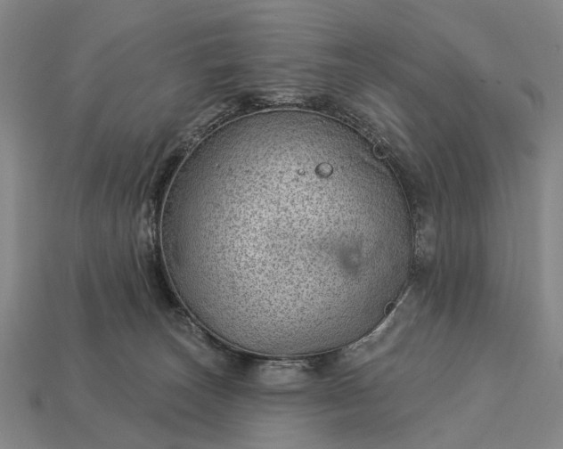 X0000112980179200909101722