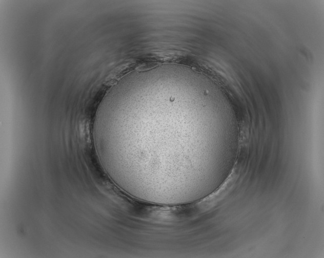 X0000112980182200909101722