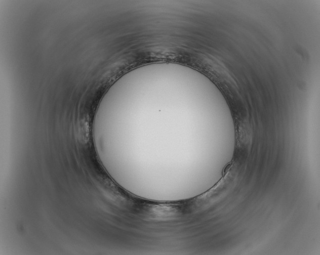 X0000112980183200909101722