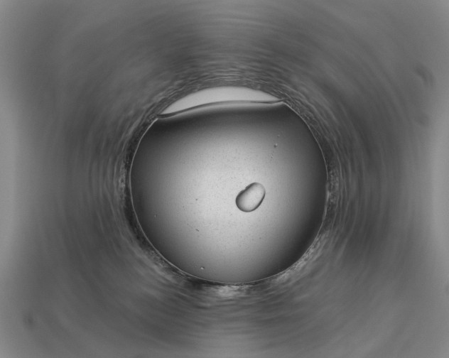 X0000112980184200909101722