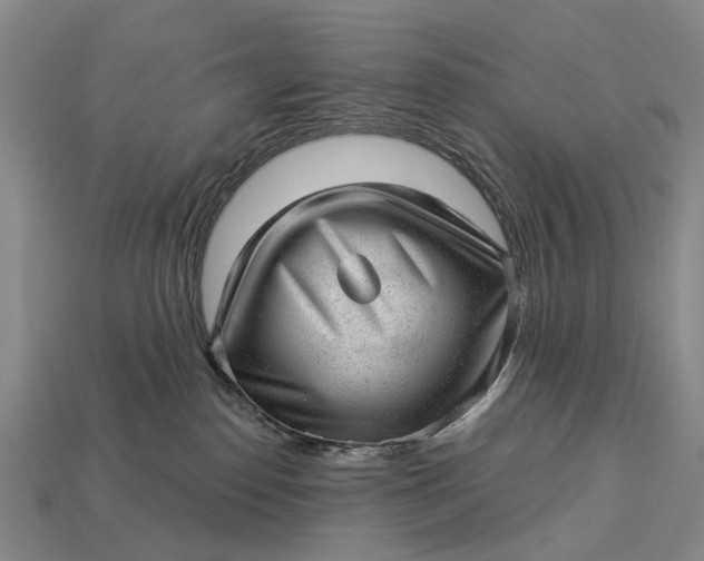 X0000112980186200909101722