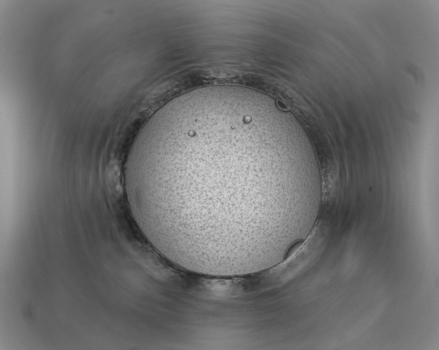 X0000112980187200909101722