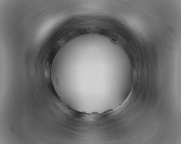 X0000112980190200909101722