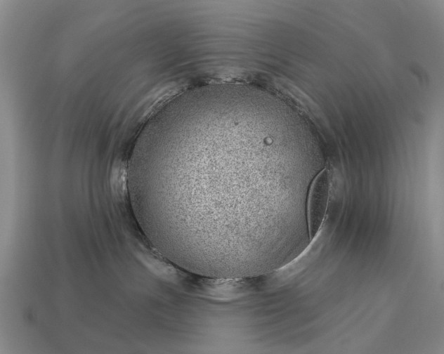 X0000112980191200909101722