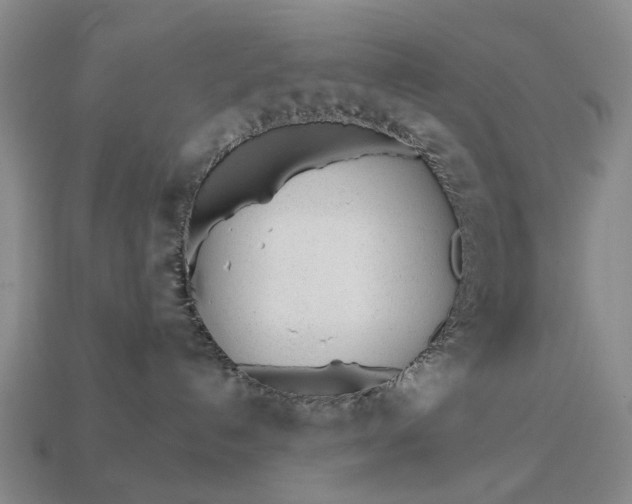 X0000112980192200909101722