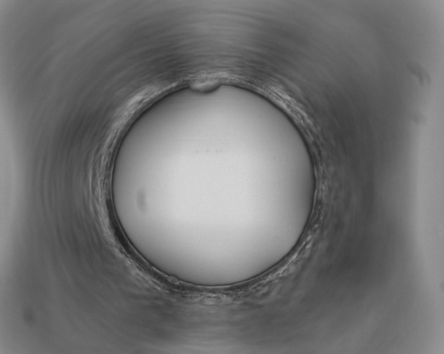 X0000112980193200909101721