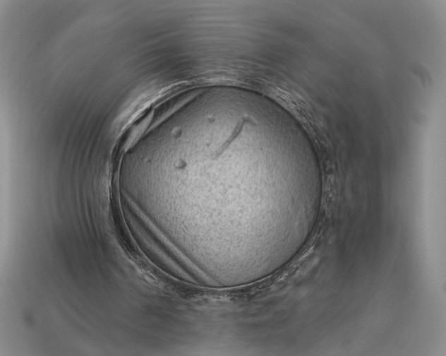 X0000112980194200909101721