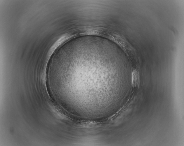 X0000112980195200909101721