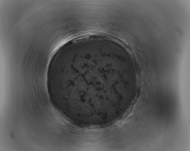 X0000112980196200909101721