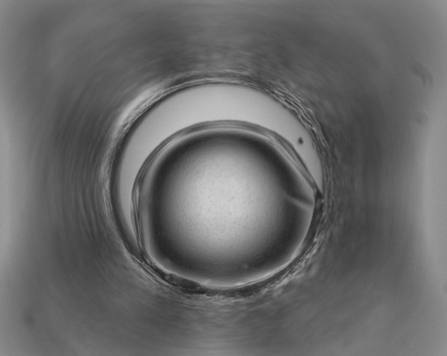 X0000112980197200909101721