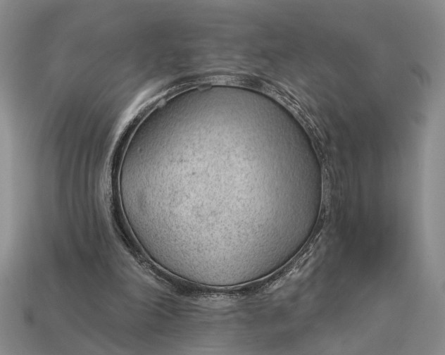 X0000112980198200909101721