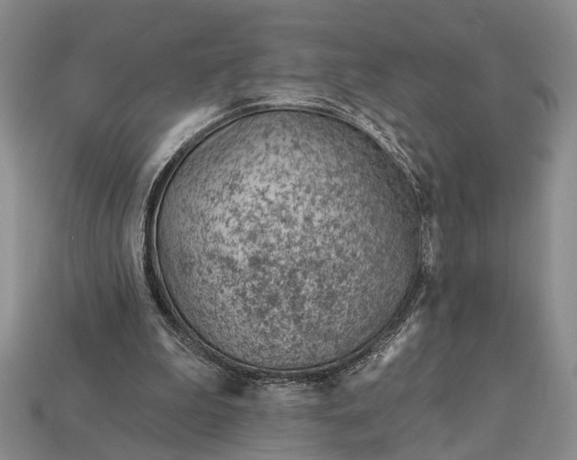 X0000112980199200909101721