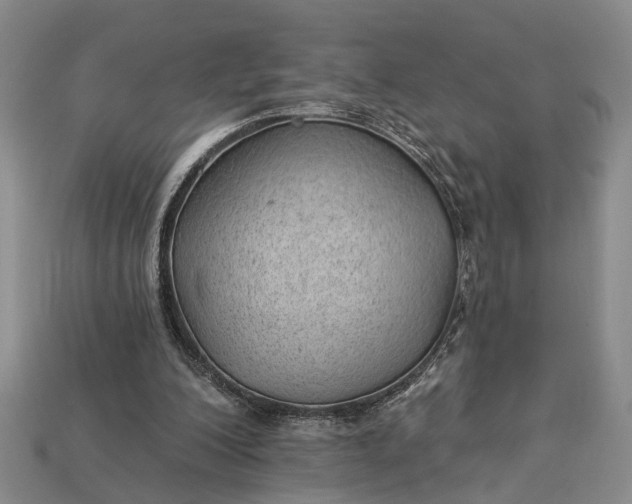 X0000112980200200909101721