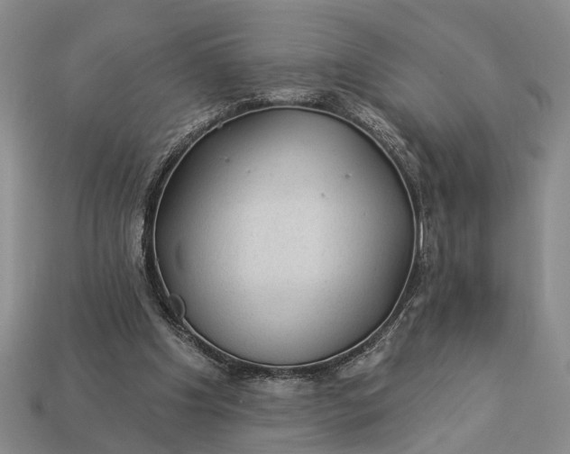 X0000112980201200909101721