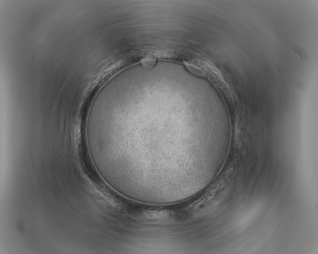 X0000112980202200909101721