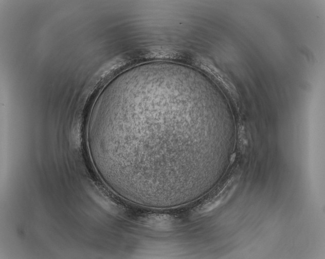 X0000112980203200909101721