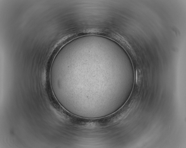 X0000112980204200909101721