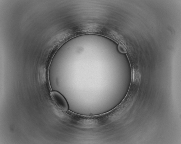 X0000112980205200909101721