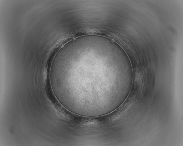 X0000112980206200909101721