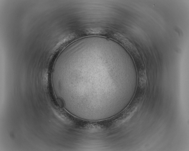 X0000112980207200909101721