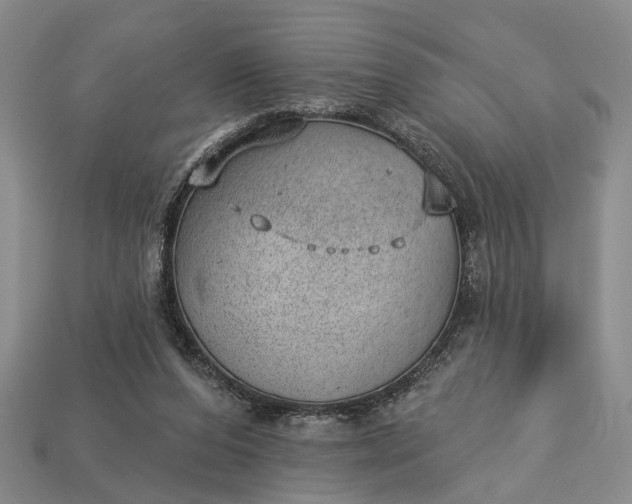 X0000112980208200909101721