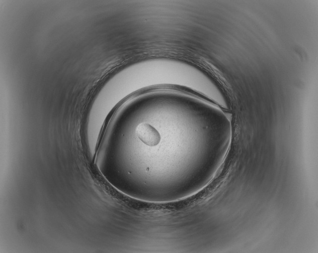 X0000112980209200909101721