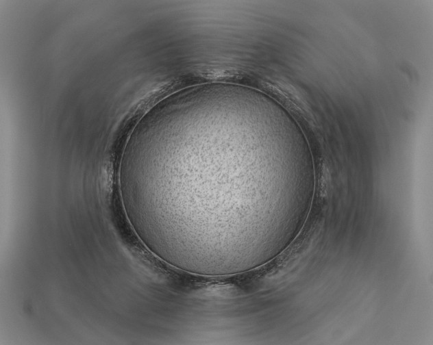 X0000112980210200909101721