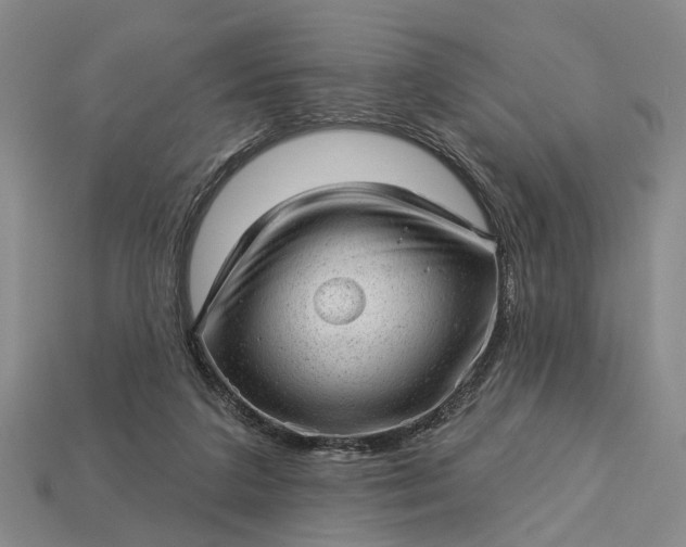 X0000112980211200909101721