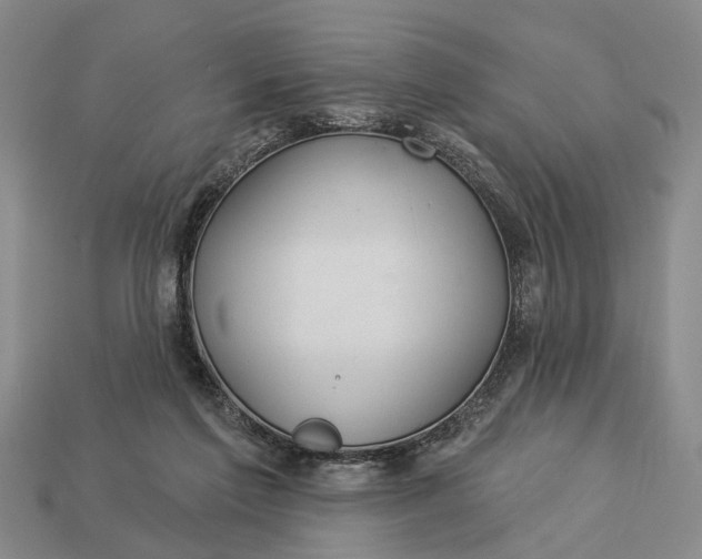 X0000112980213200909101721