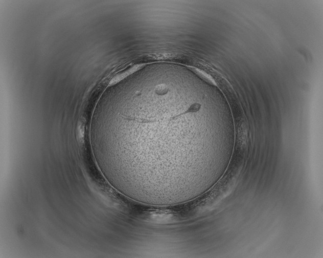 X0000112980214200909101721