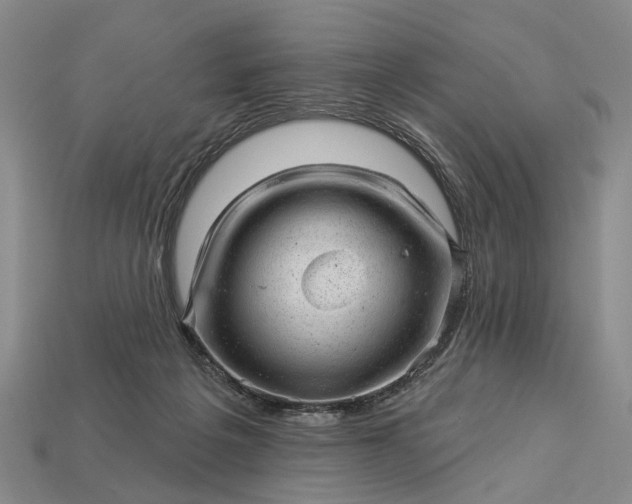 X0000112980217200909101721