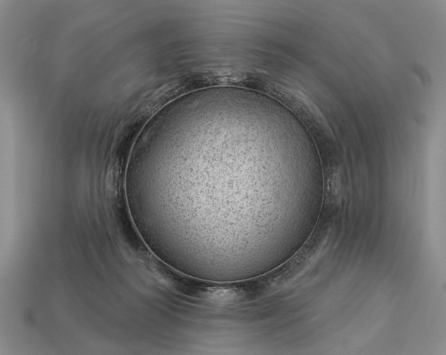 X0000112980218200909101721