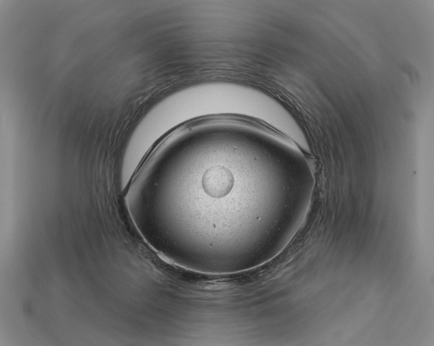 X0000112980219200909101721