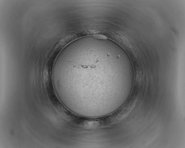 X0000112980220200909101721