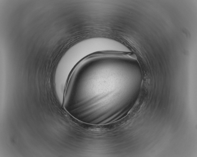 X0000112980221200909101721