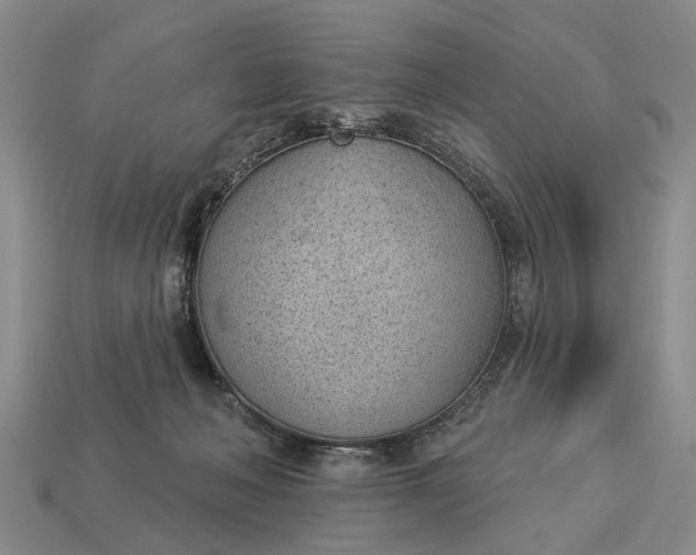 X0000112980222200909101721